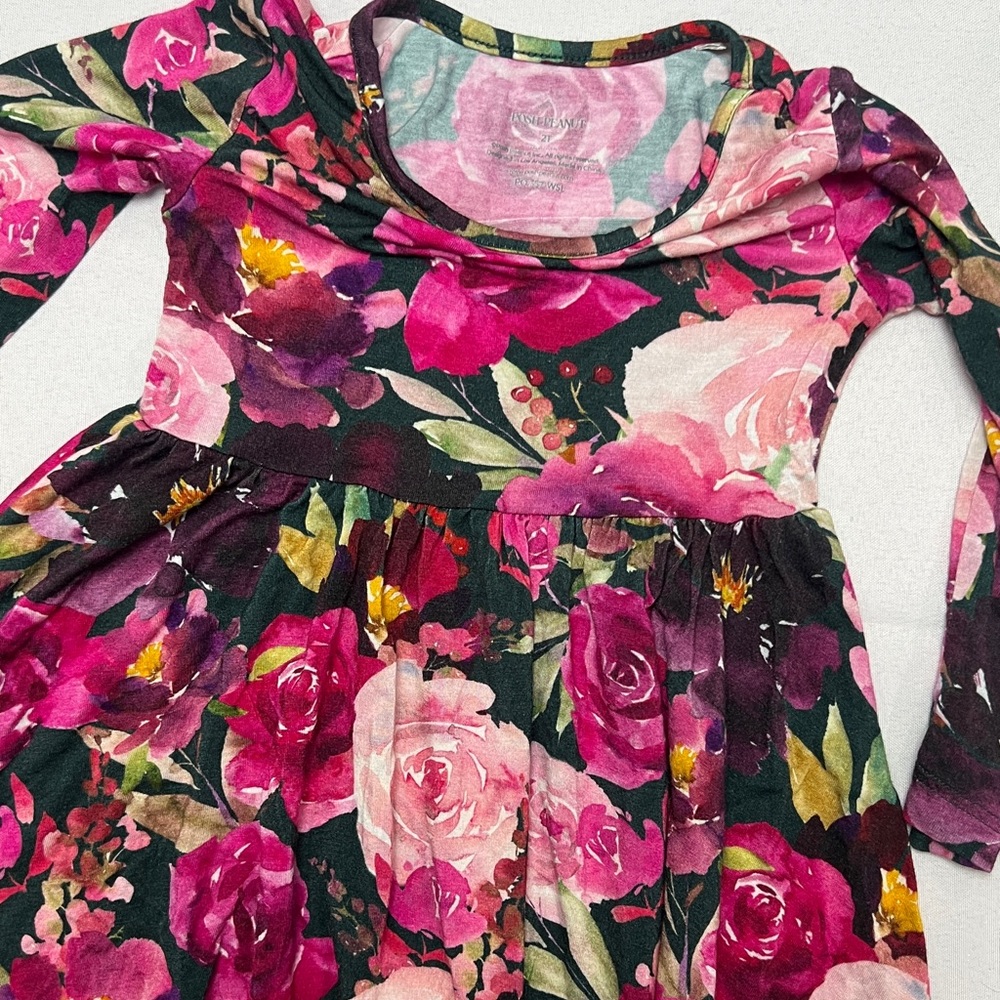 Posh Peanut long sleeve dress. 2T.